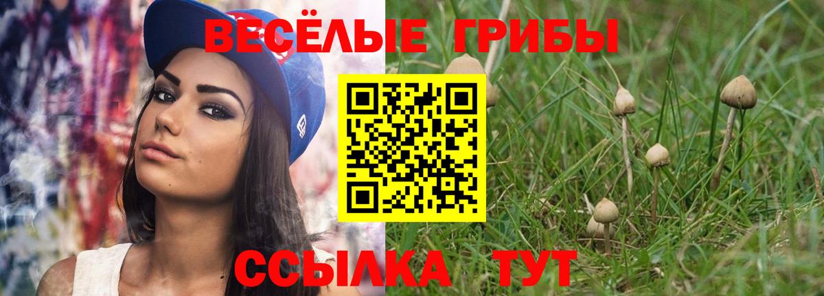 Светлоград  Галлюциногенные грибы MAGIC MUSHROOMS  Вход с VPN 